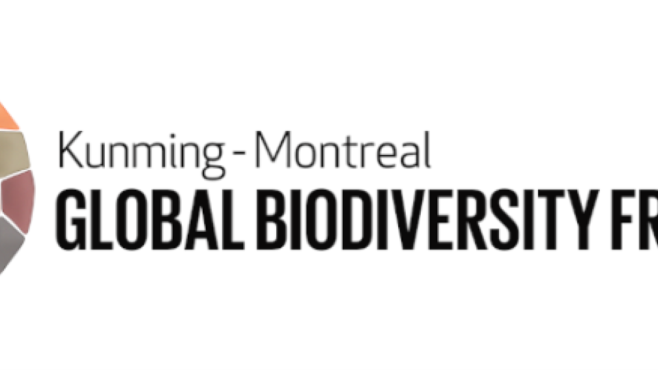 Logo Kunming-Montreal Global Biodiversity Framework