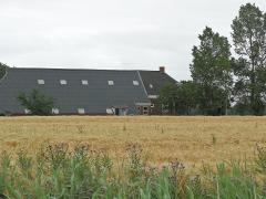 A farm in the cereals district Oldambt, the Netherlands