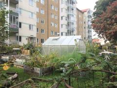 Photo Urban gardening in Malmö, Sweden