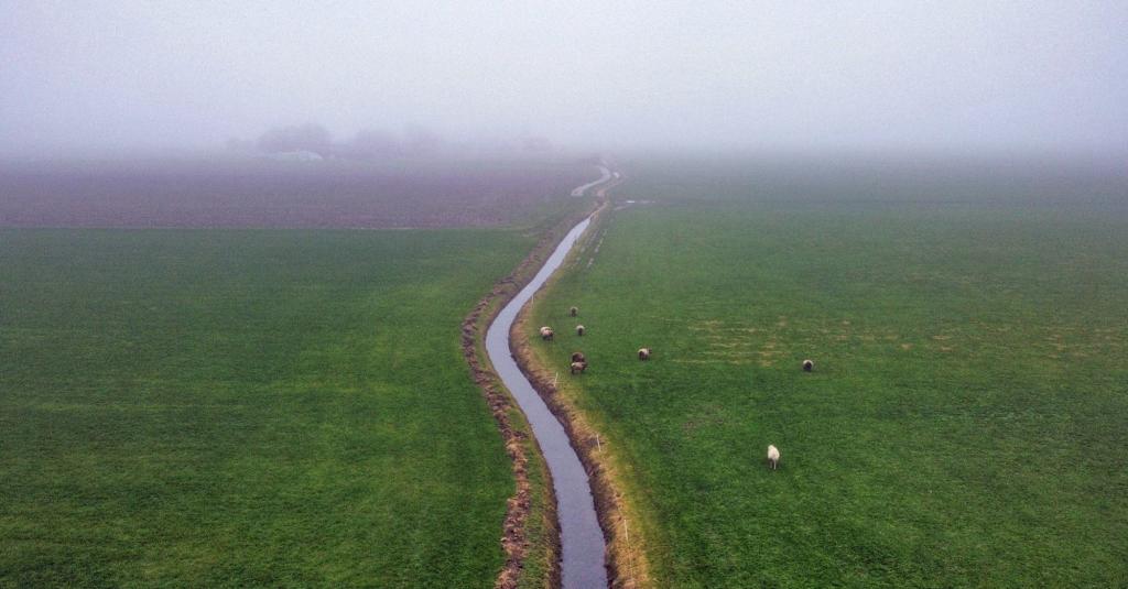 Drone opname van een landbouwgebied bij Genemuiden