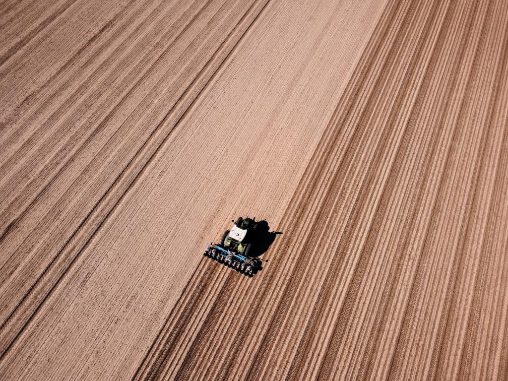 Drone opname van graanoogst in het Oldambt