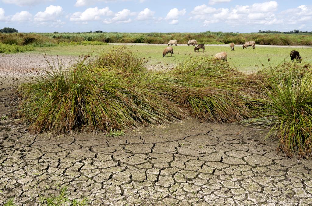 Foto van een verdroogd landschap