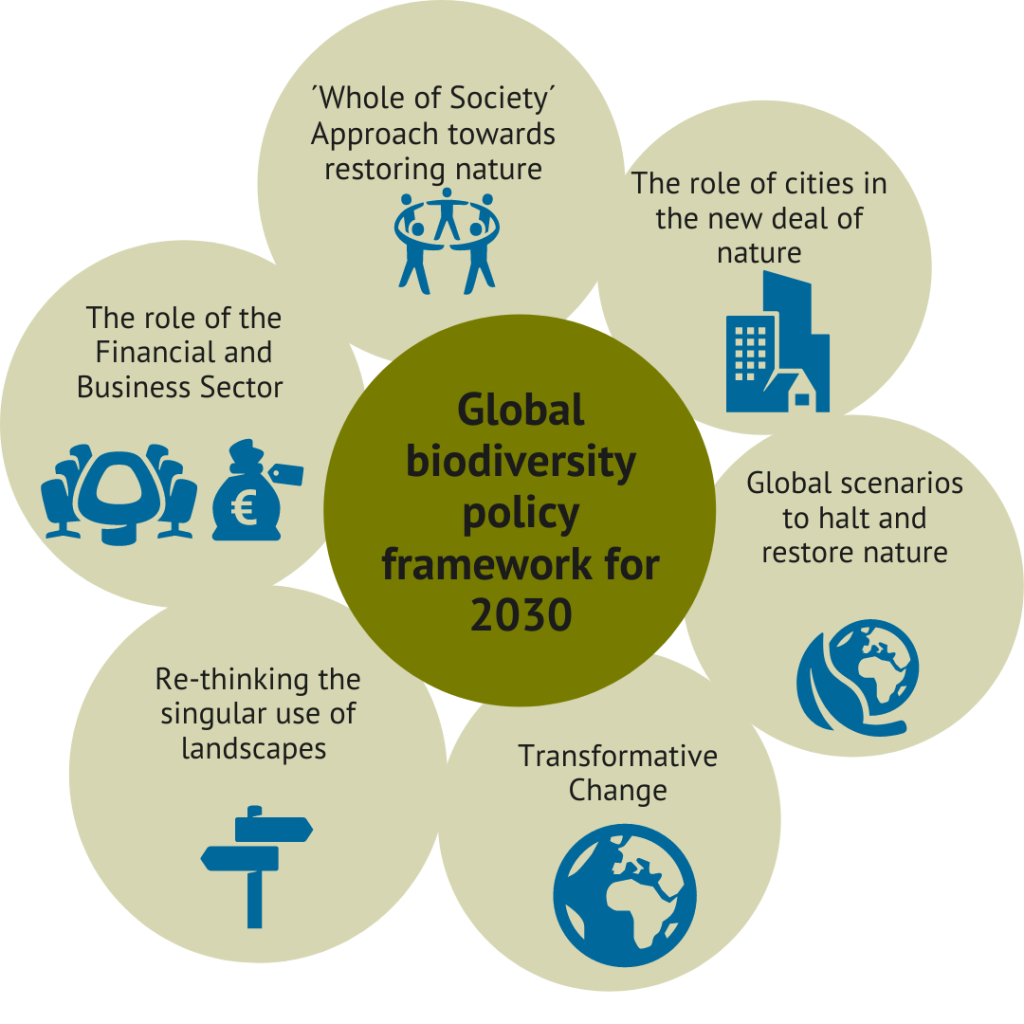 New Global Biodiversity Policy Framework For 2030 Central Topic At ...