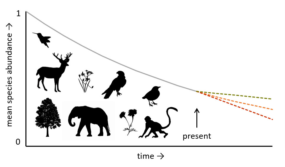 Decline of biodiversity intactness 