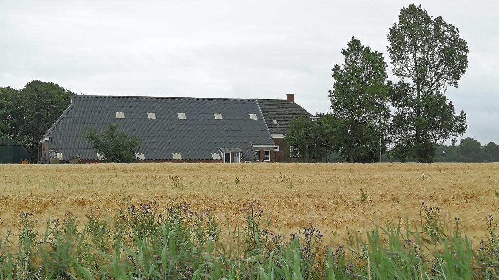 A farm in the cereals district Oldambt, the Netherlands