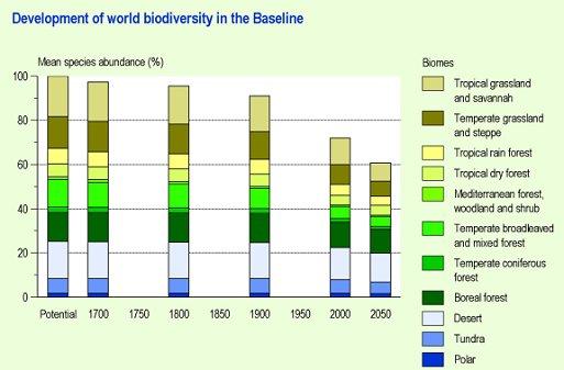 Figuur: grafiek met de historische en toekomstige ontwikkeling van de wereldwijde biodiversiteit op het land (PBL)
