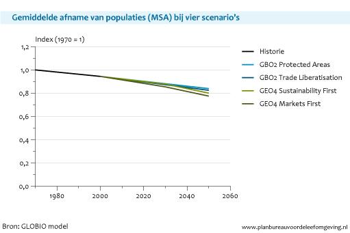 Figuur: lijngrafiek met de gemiddelde afname van soortvoorkomen (MSA) bij vier scenario's; De afname van biodiversiteit zal zich in de komende eeuw doorzetten, als er geen acties worden ondernomen (GLOBIO/PBL)