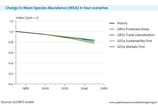 Figure: line chart with the change in Mean Species Abundance (MSA) in four scenarios; The rate of biodiversity loss will depend on future land-use development under unchanged policy on nature (GLOBIO Model/PBL)