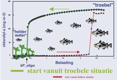 Figuur: schematische weergave van het hysteresis effect in meren bij toenemende fosfaatbelasting, start vanuit troebel toestand