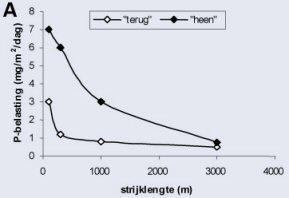 Figuur A: grafiek invloeden op de kritische fosfaatbelasting, strijklengte