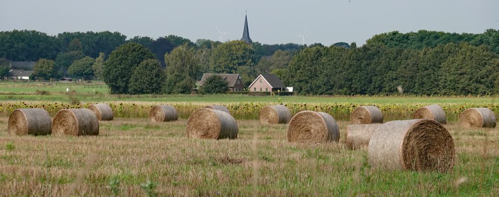 Sfeerbeeld met hooibalen bij Beek, gemeente Montferland