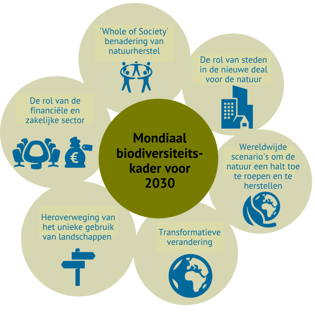 Infographic Mondiaal biodiversiteitskader