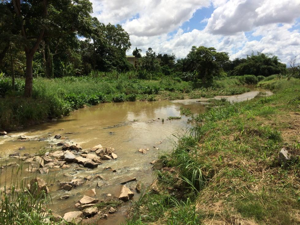 Photo Small river and riparian zone, Kumasi, Ghana