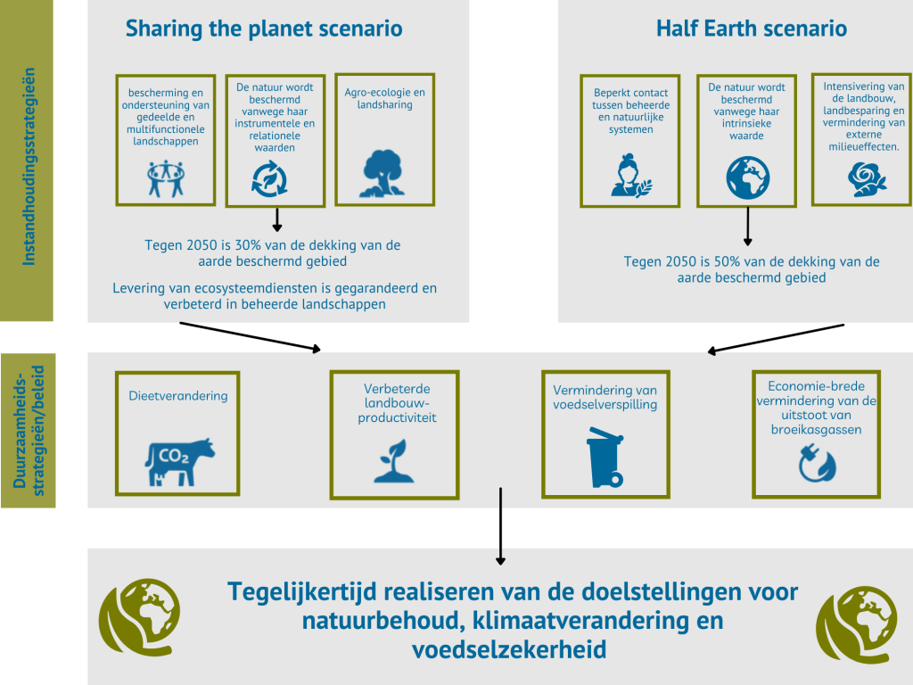 Infographic Scenario's voor wereldwijd biodiversiteitsherstel