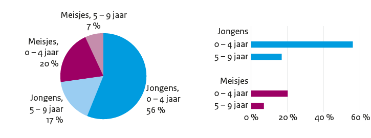 Een taart- en een staafgrafiek op basis van dezelfde data over het aantal jongens en meisjes op een bepaalde school in twee leeftijdscategorieën