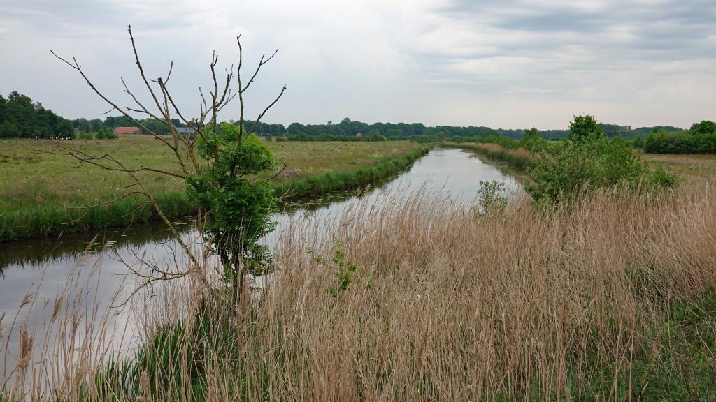 Beekherstel van de Westerwoldsche Aa