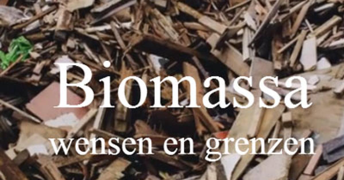 PBL Lanceert ‘interactive’ Biomassa: Wensen En Grenzen | Planbureau ...